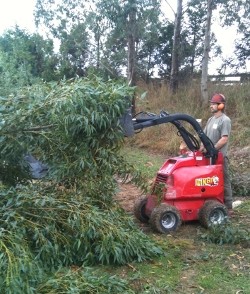 Rural Tree Surgeons