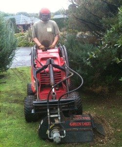 Stump Grinding