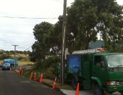 Urban Tree Surgery